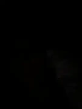 Stripchat Live Porn of LeBimbo