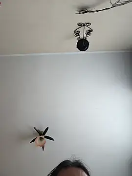 Stripchat Nude Webcam of vulpe8400