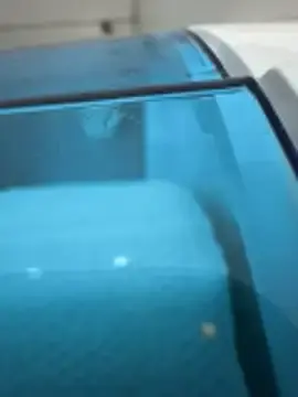Stripchat Live Sex Cam of Turkishleo
