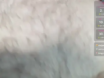 Stripchat Best Webcam of cutehairymacho