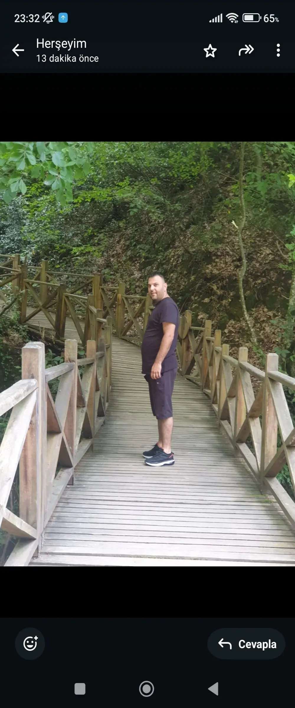 Adanadansikici