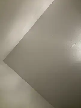 Stripchat Free Porn Cam of bellefleurrr
