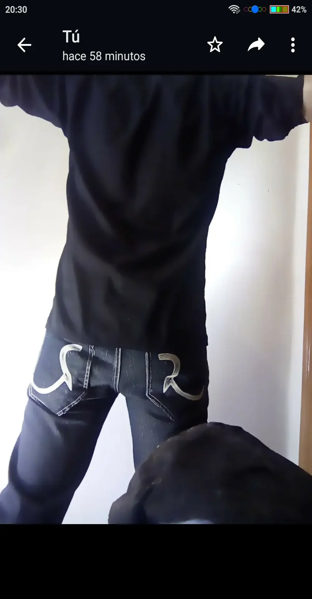 spartan24cm