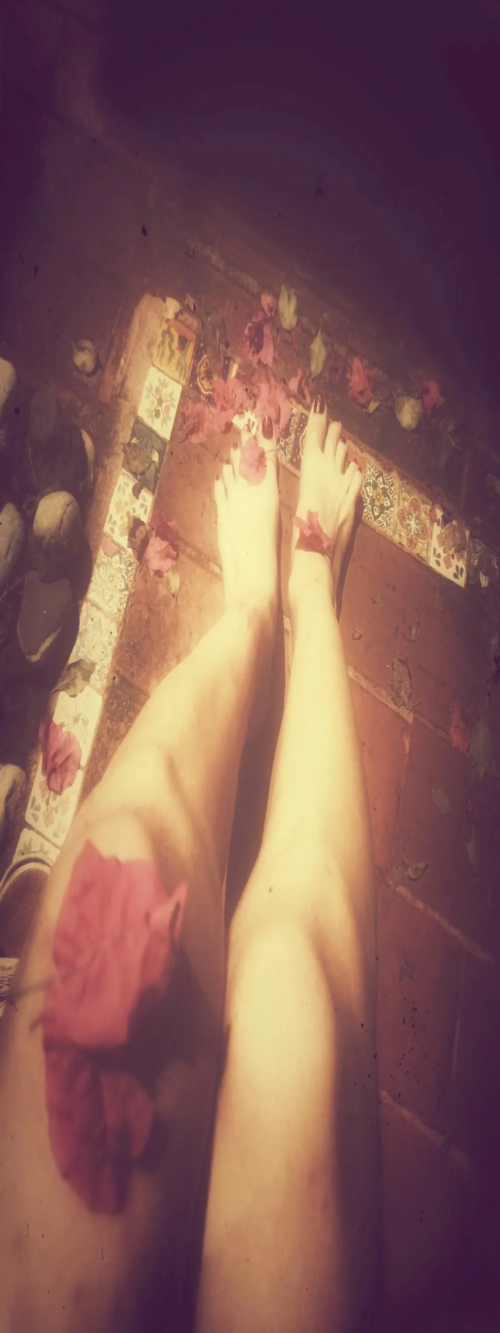 Sonyasays