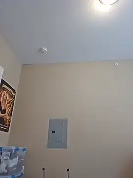 Stripchat Adult Webcam of AmethystFoxx