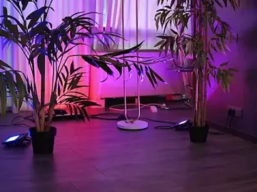 Stripchat Live Porn of HotBustyBabeX