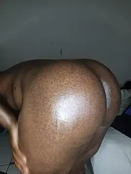 Stripchat Adult Webcams of PussyPounderBlackD