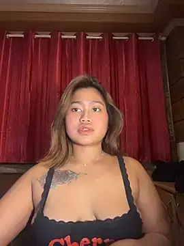 Stripchat Nude Webcam of vien_pussy69