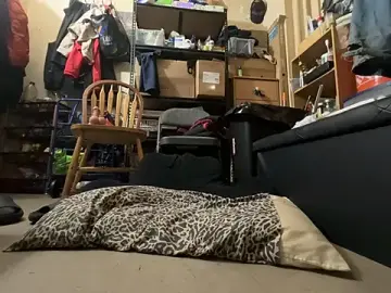 Stripchat Free Porn Cam of Snowbunnycake_131
