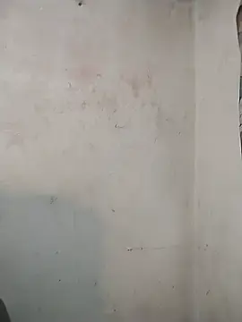 Stripchat Live Porn of LESLY_BIGCOCK