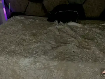 Stripchat Best Webcam of Latrellx7