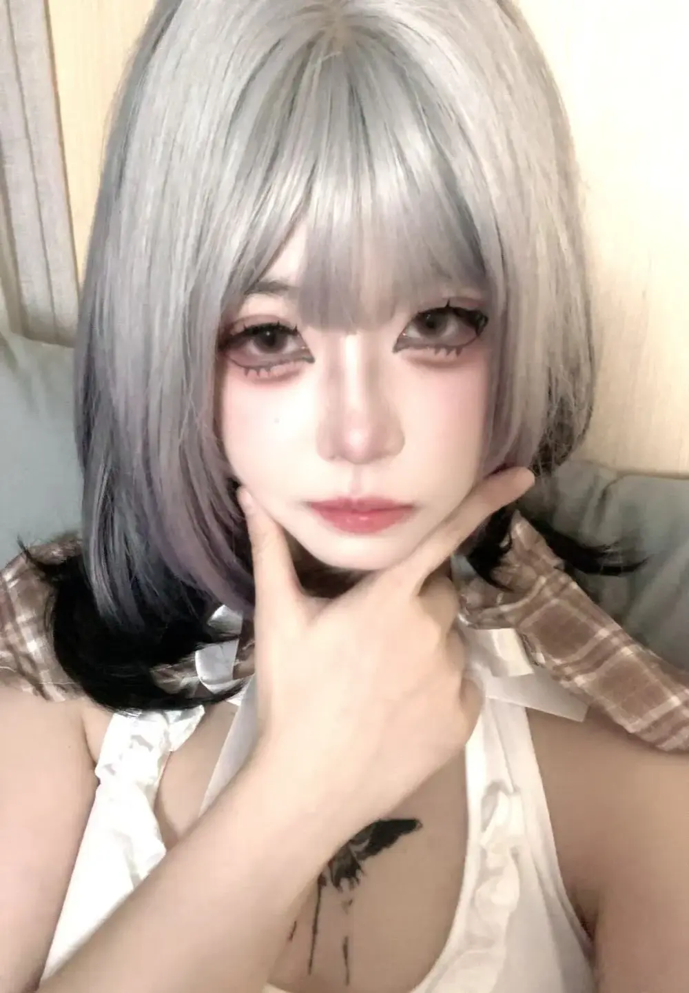 MeimoDog