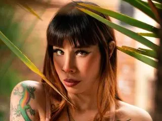 Xlovecam Watch Live Sex Cams of AriiannaHot